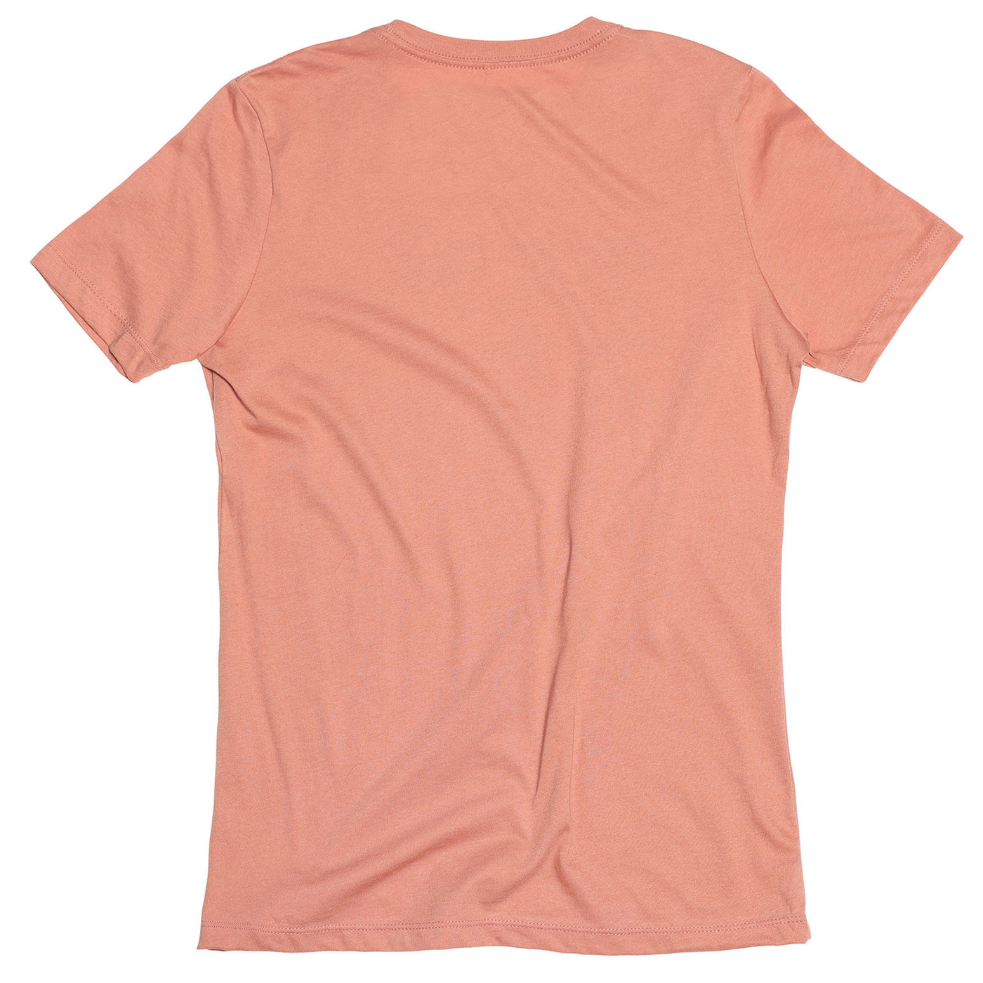 Fasthouse Women's Vow Tee Terracotta - Rear View