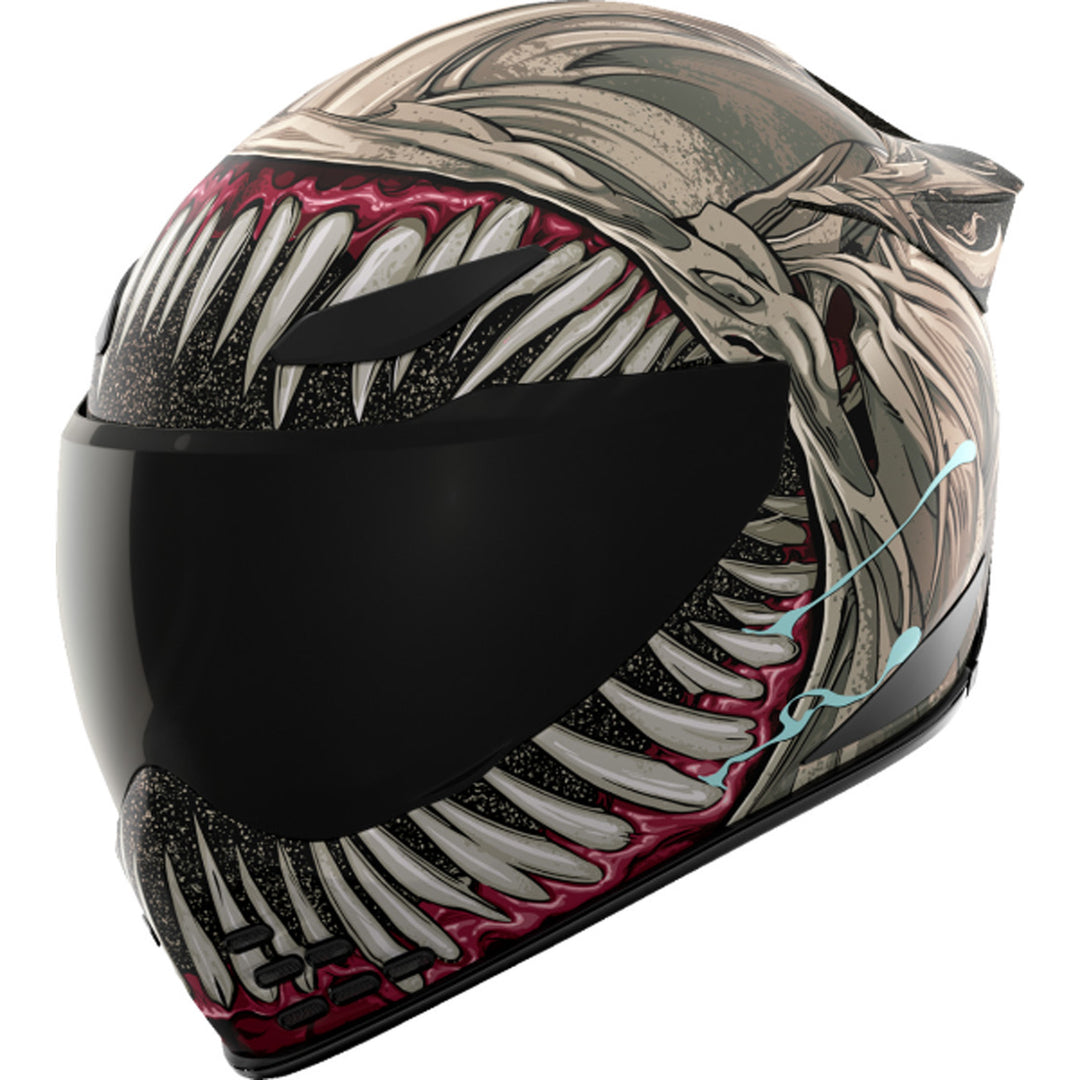 ICON Domain Grand Maw Helmet Gray - Front Left Side View