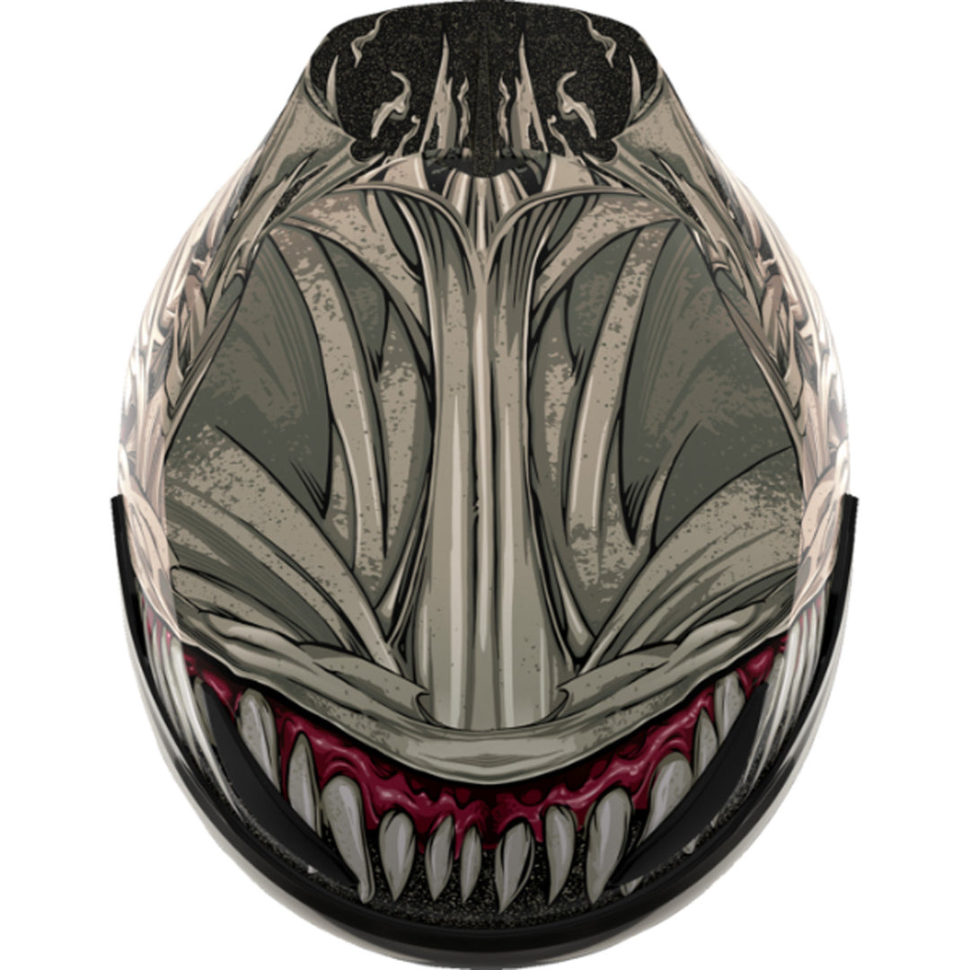 ICON Domain Grand Maw Helmet Gray - Top Down View