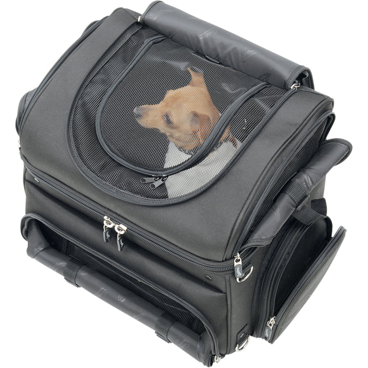 SADDLEMEN Pet Voyager - Top View with Lid Flap Rolled Back With Small Dog Looking through Mesh Opening