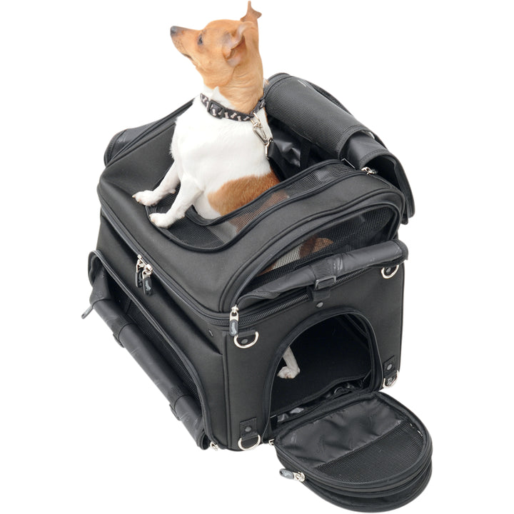 SADDLEMEN Pet Voyager - Top Side View with Small Dog Standing Through Open Top