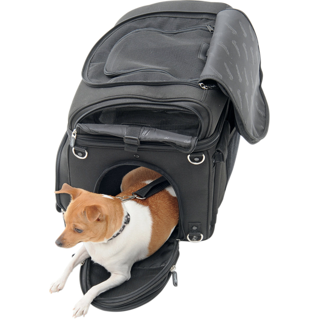 SADDLEMEN Pet Voyager - Angled Side View with Side Opened and Small Dog Laying Partially Out